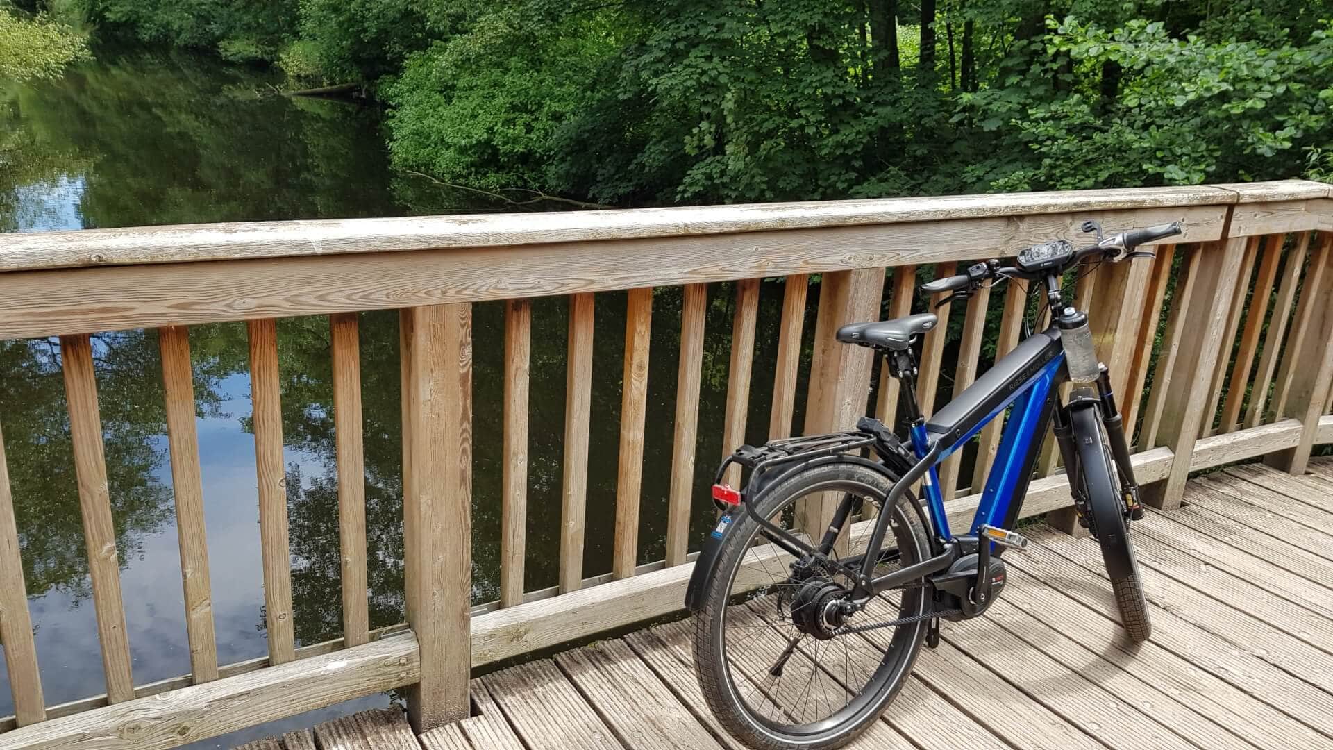 Hamburg meine Perle - E-Bike Tour durch Hamburg