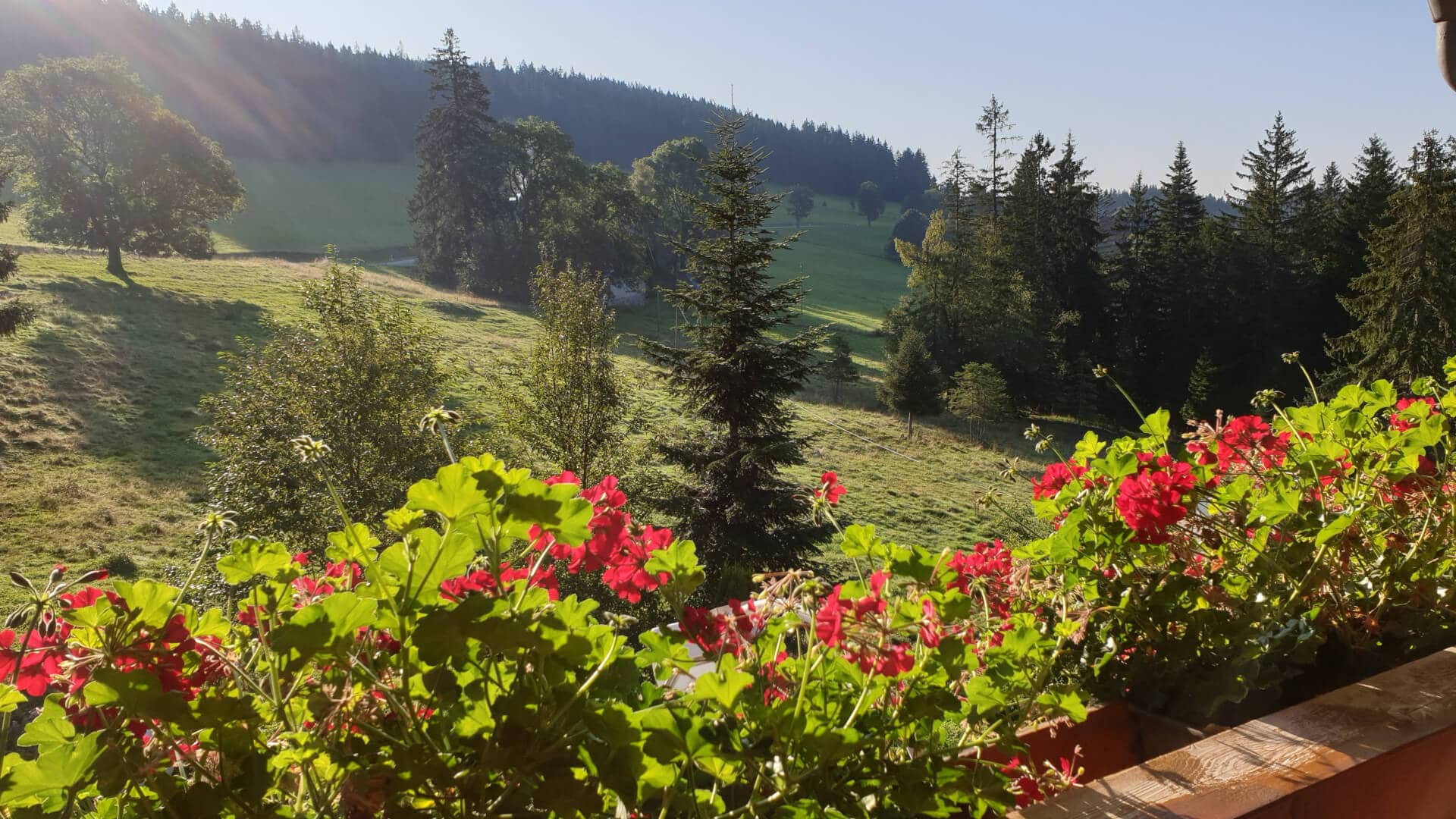 Sechs Länder Motorradtour
