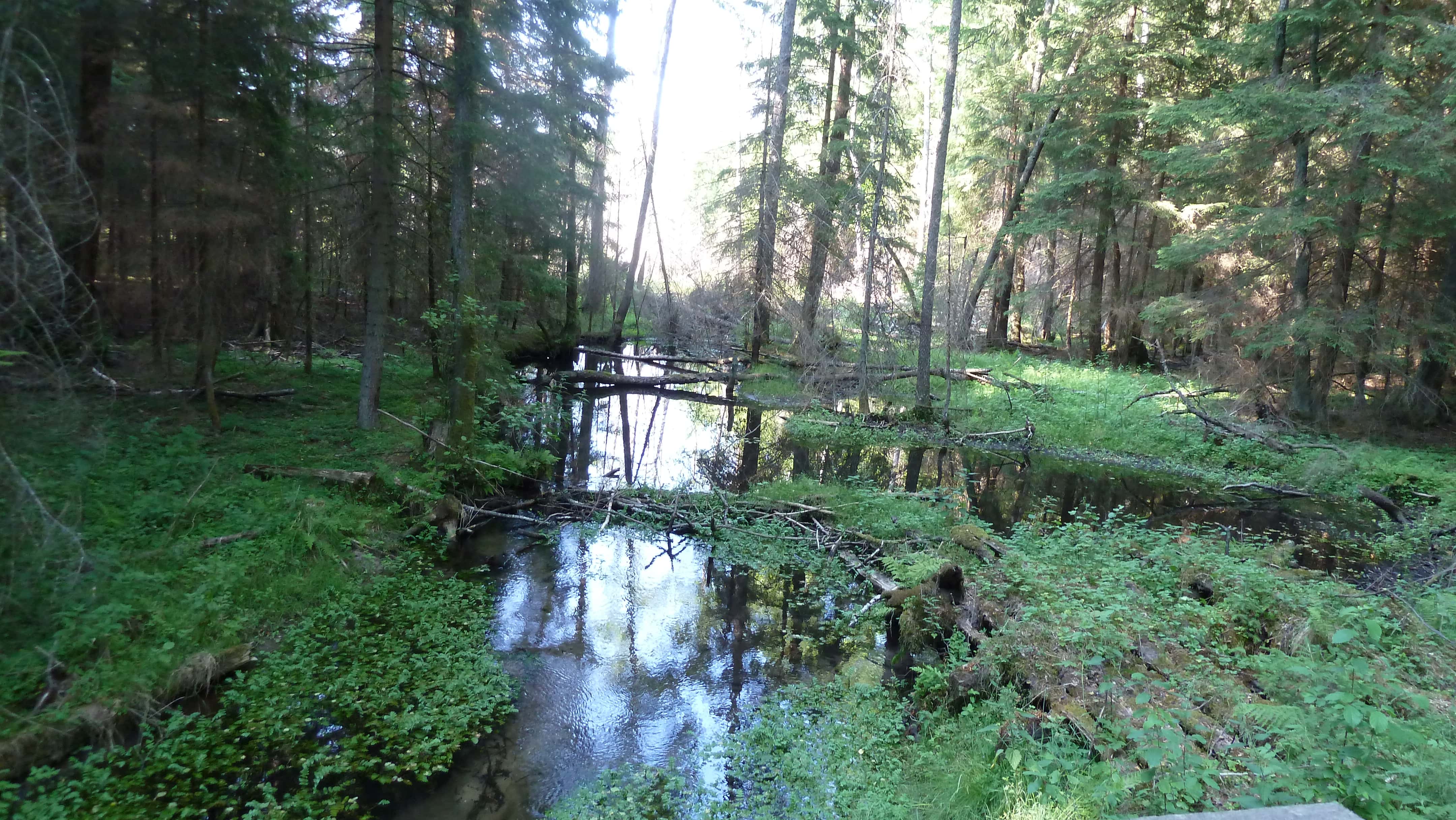 Endurotour Polen