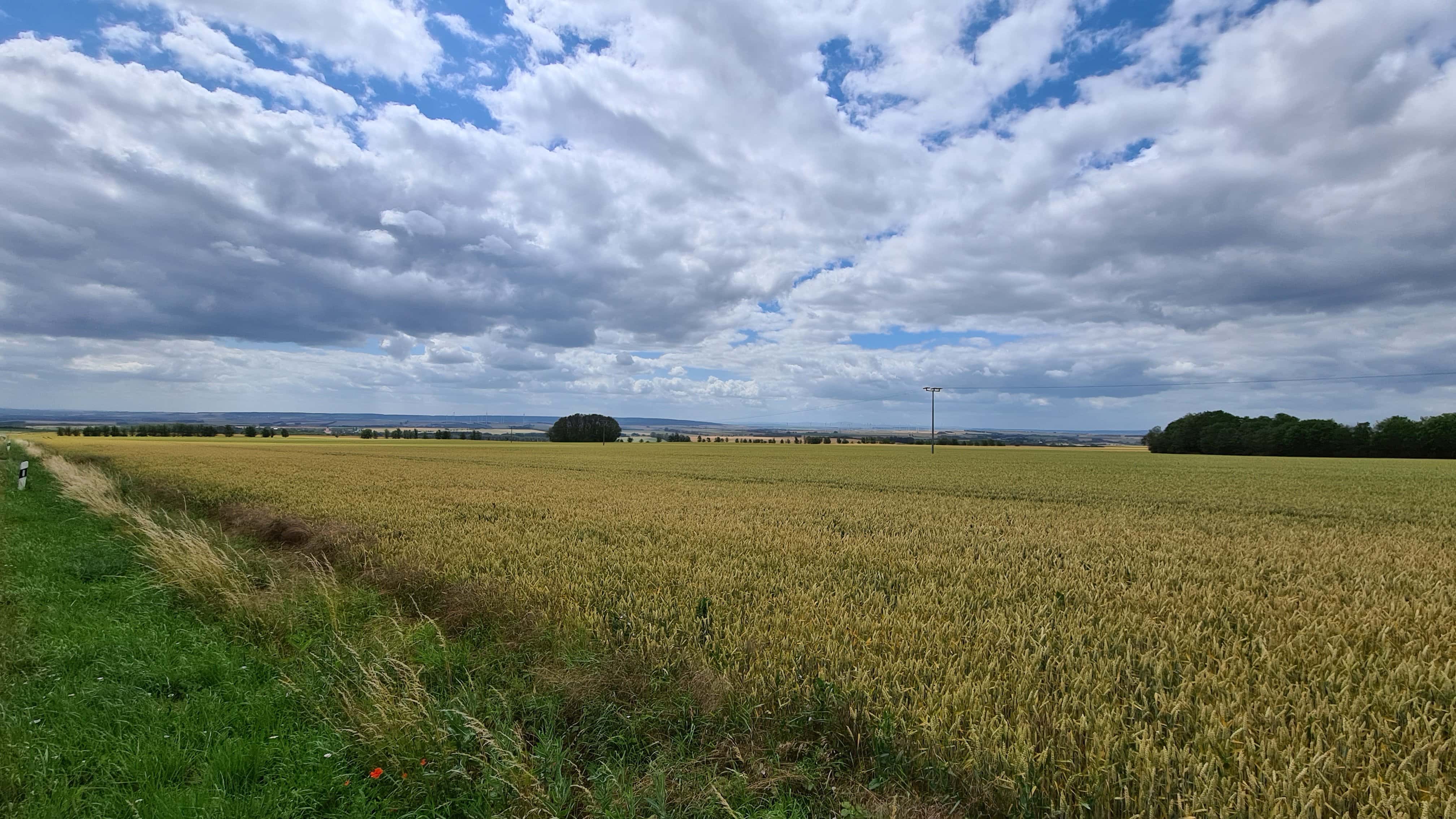 Blick auf Thüringen 