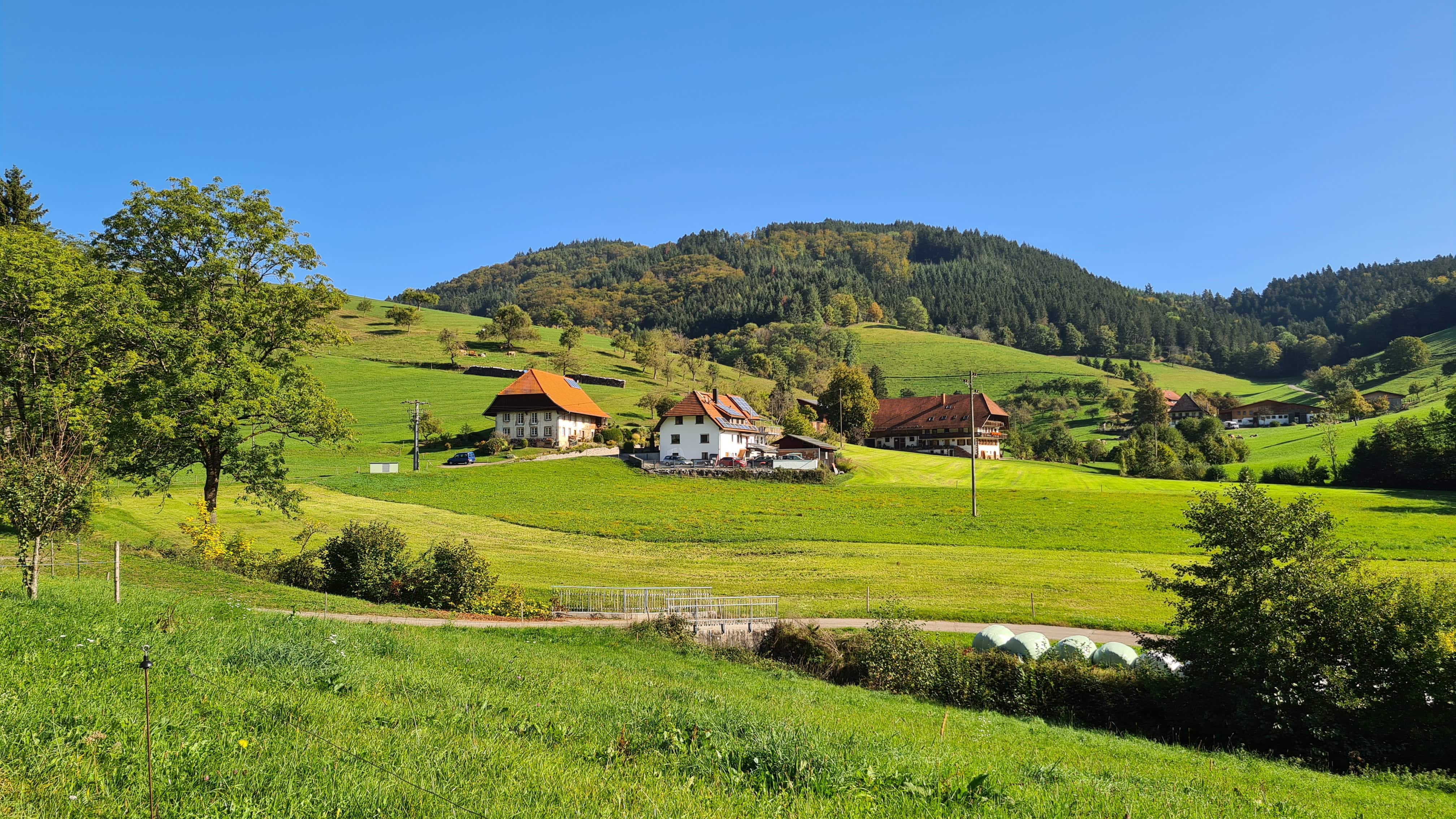 Schwarzwald - Dem Sommer hinterher Tour