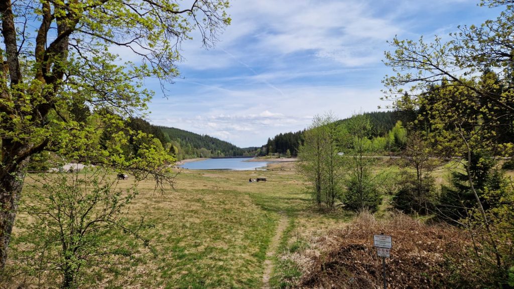 Mein Camping-Wochenende am Lütschesee Mein Camping-Wochenende am Lütschesee 3